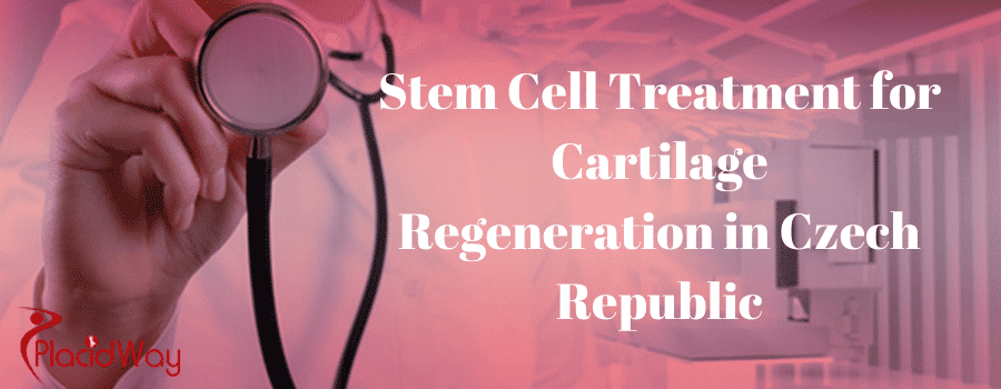 Stem Cell Treatment for Cartilage Regeneration in Czech Republic